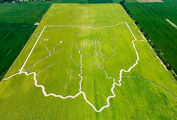 Ohio map in SF field