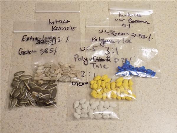 Samples of XL confection in-shell sunflower seed, XL hulled kernels and three coated kernel samples. (Photo: NDSU Agricultural & Biosystems Engineering Dept. )
